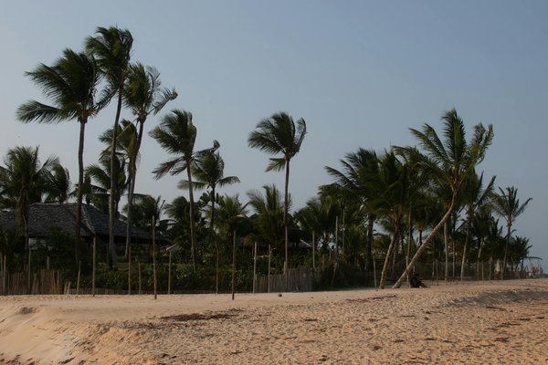 Quels sont les impacts du télétravail sur les habitudes de voyage ?